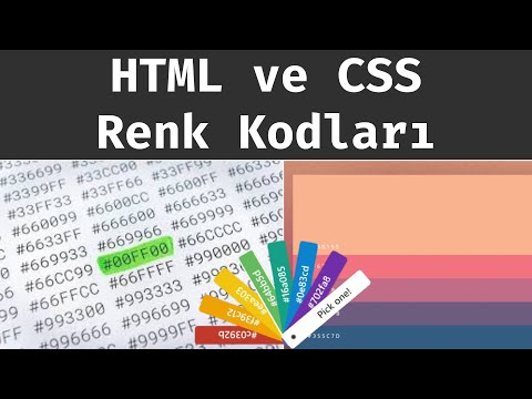 HTML ve CSS Renk Kodları Nelerdir? Nasıl Kullanılır?