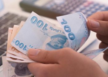 Borcu Tekrar Ödeme Şikayeti Dilekçesi Örneği