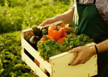 Doğal Yöresel ve Organik Ürün Satışı