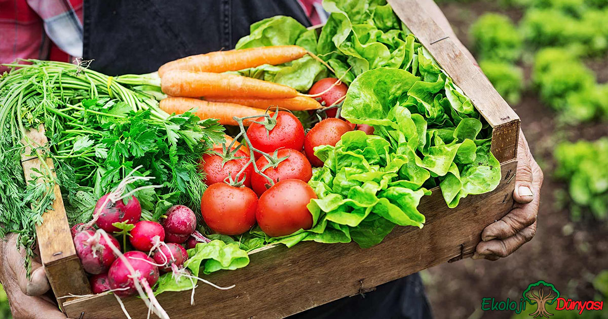 Doğal Yöresel ve Organik Ürün Satışı ( Organik Tarım )