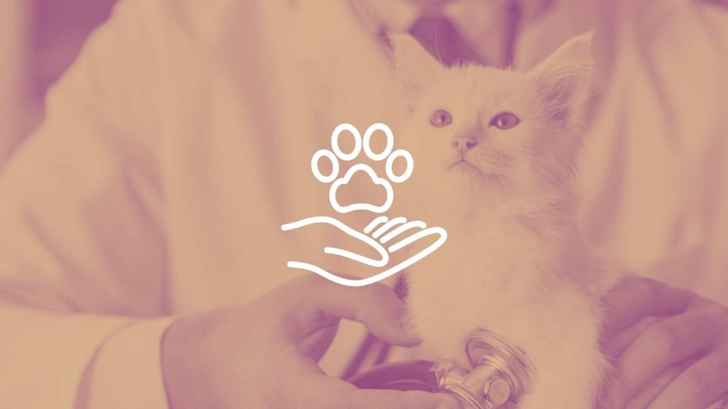 Güncel Veteriner Muayene Fiyatları