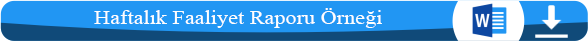 Haftalık Satış Faaliyeti Raporu word formatında 