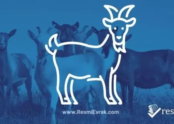 Kurban Fiyatları