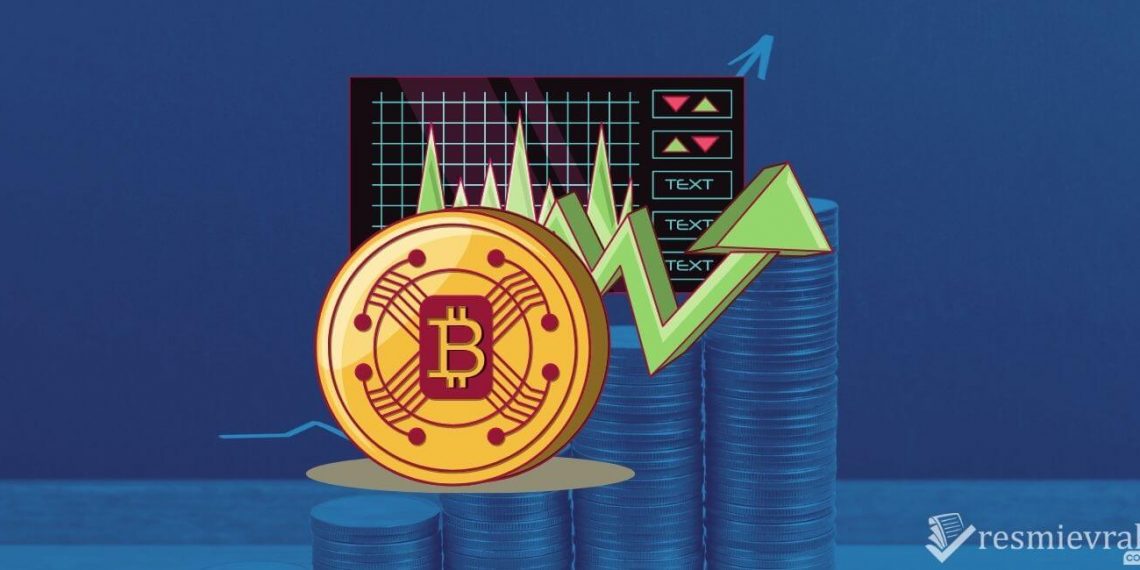 Reef Coin yorumları