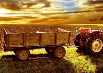 TKDK Başvurusu Şartları İstenilen Gerekli Evrak Listesi