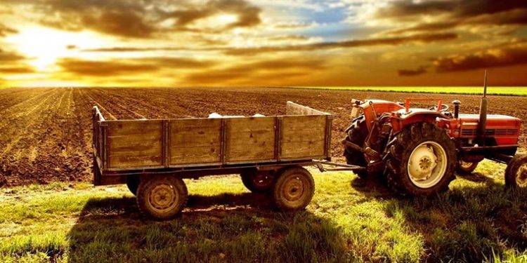 TKDK Başvurusu Şartları İstenilen Gerekli Evrak Listesi