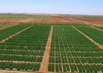 tarım hibeleri 2021