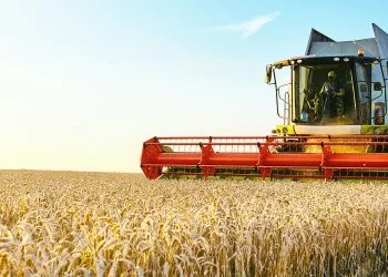 TKDK Nelere Ne Kadar Hibe Kredi Veriyor