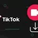 TikTok Filigransız Video İndirme