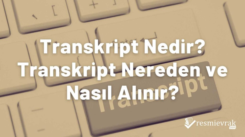 Transkript Nedir