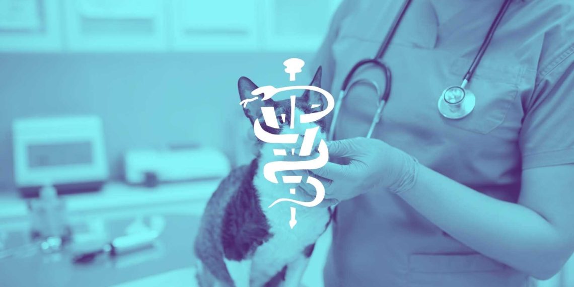 Veteriner Ücretleri